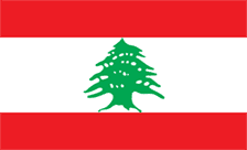.gov.lb黎巴嫩域名