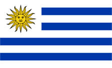 .org.uy乌拉圭域名