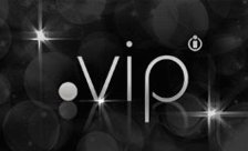 .vip全球域名